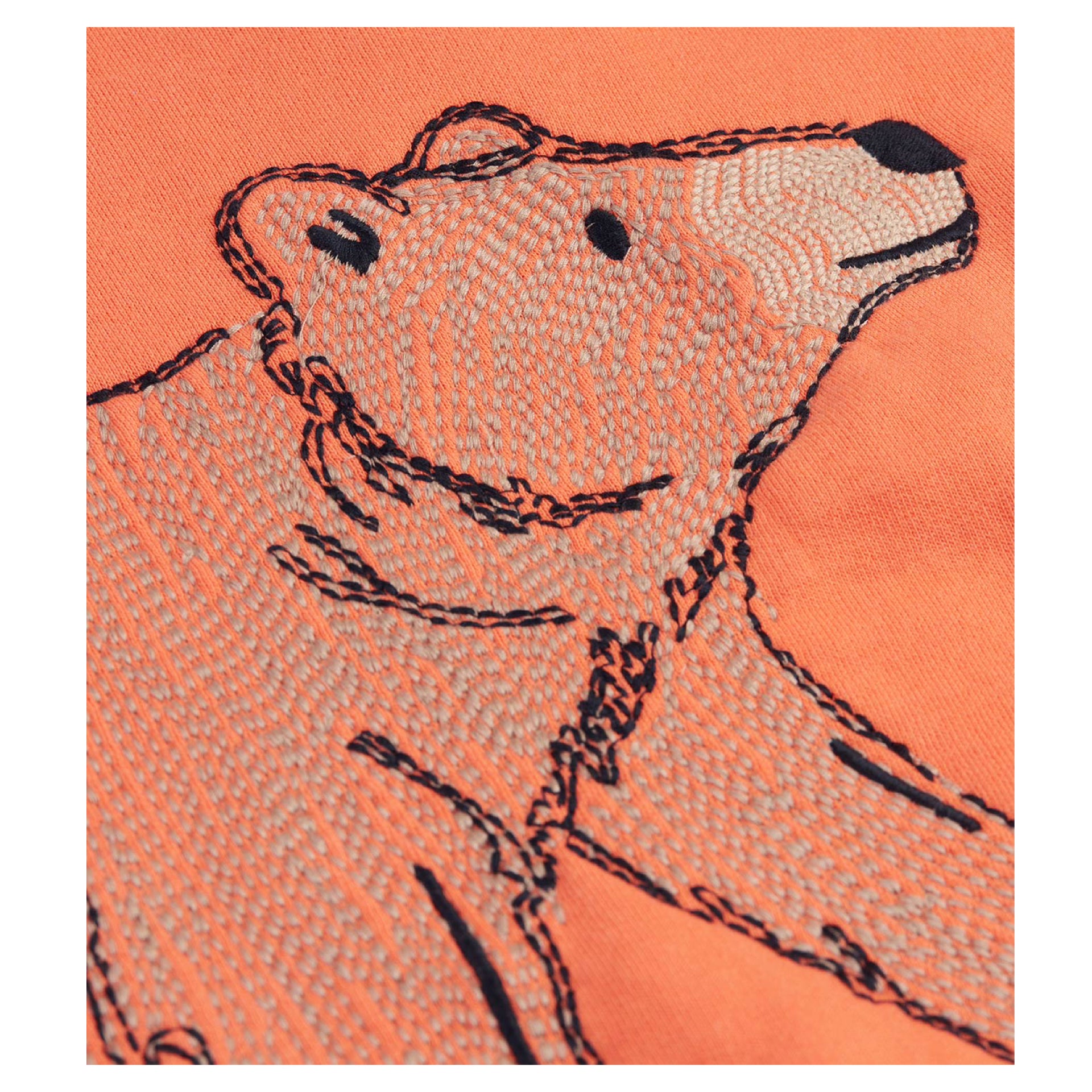 Frugi Superb Stitched Sweatshirt Salamander/Bear