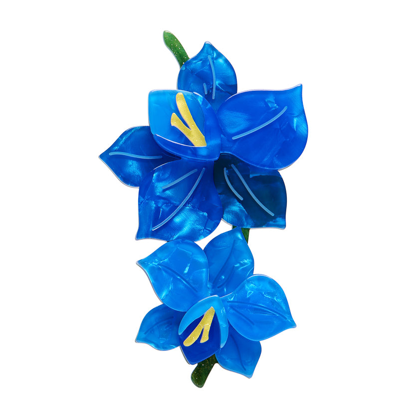 Erstwilder Opulent Orchidaceae Brooch