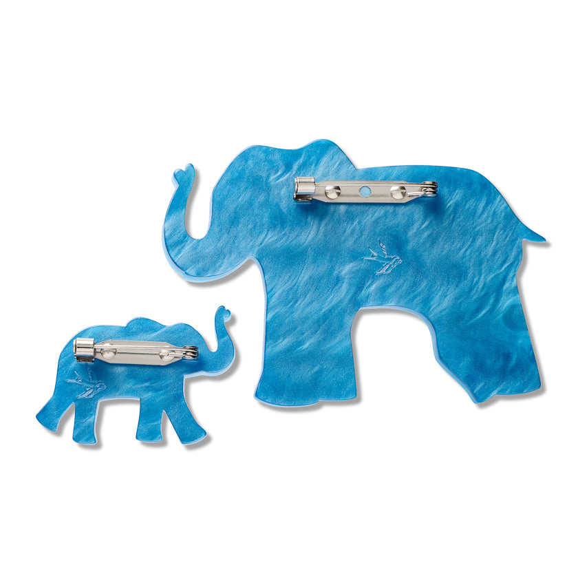 Erstwilder Memory of Us Brooch Pair