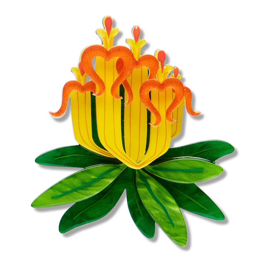 Erstwilder Long-flower Mistletoe Brooch
