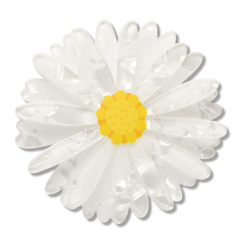 Erstwilder Cut-leaf Daisy Large Hair Clip