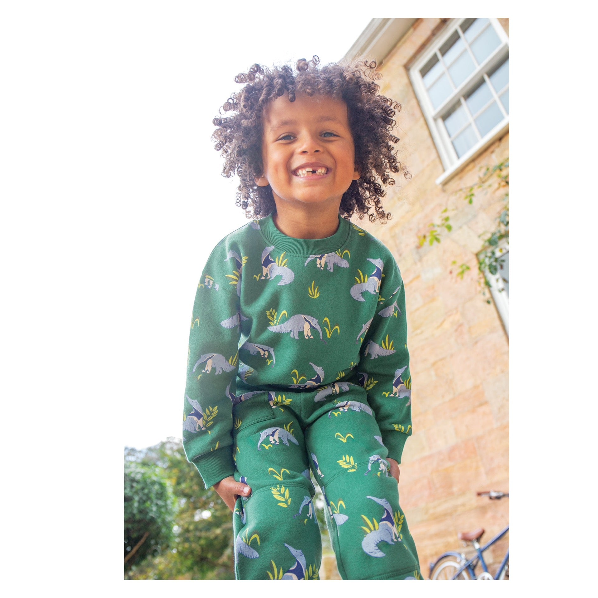 Frugi Superb Sweatshirt Anteater Parade