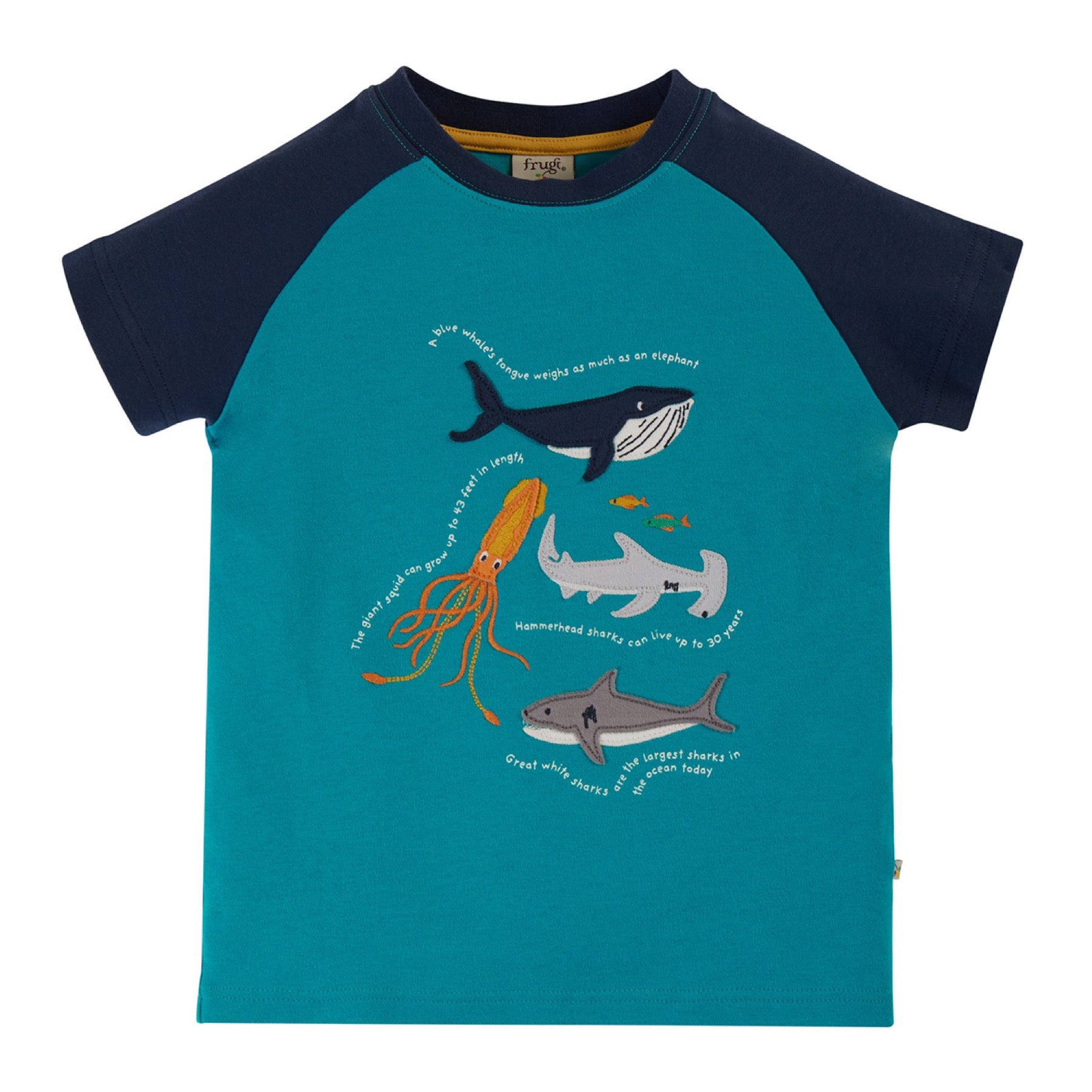 Frugi Switch Rishi Raglan T-shirt, Camper Blue Sealife